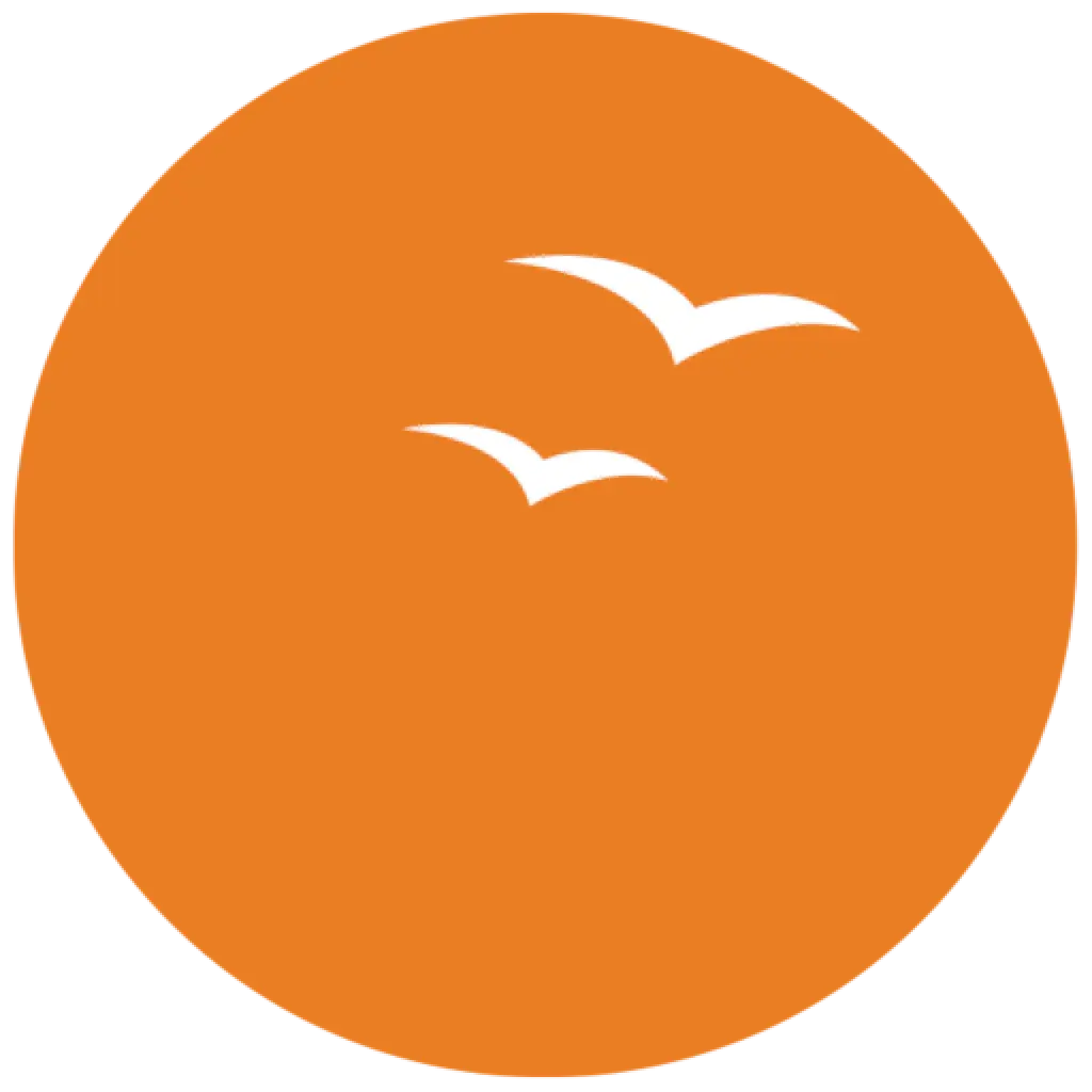 Suryoday Small Finance Bank logo
